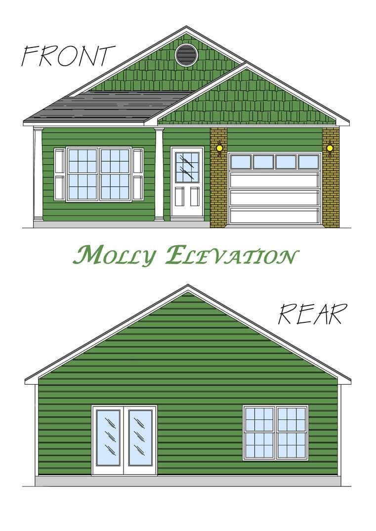 Molly-elev