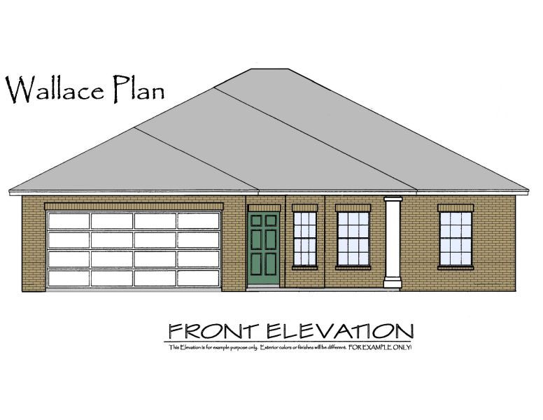 Wild Wing Elevation